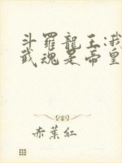 斗罗龙王:我的武魂是帝皇铠甲