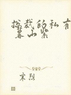 总裁的私有宝贝 暮山紫封面