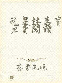 我是林喜宝小说免费阅读封面