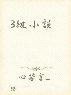 3级小说