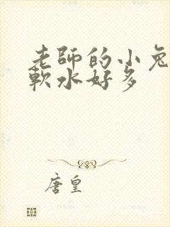老师的小兔子好软水好多