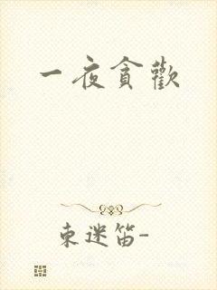 一夜贪欢封面