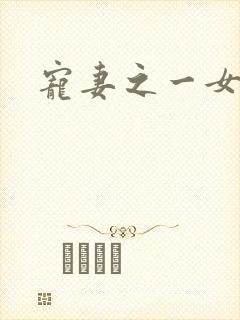 宠妻之一女二夫封面