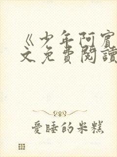 《少年阿宾》全文免费阅读