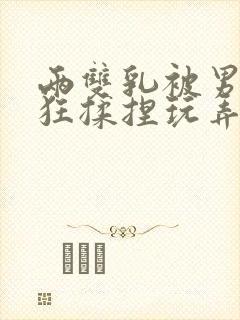 两双乳被男人疯狂揉捏玩弄小说