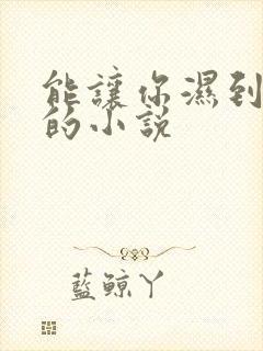 能让你湿到不行的小说