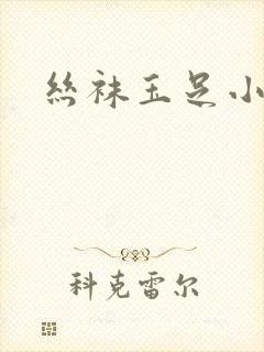 丝袜玉足小说封面