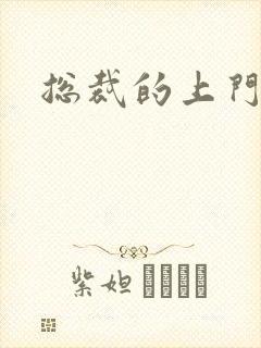 总裁的上门女婿