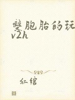 双胞胎的玩具1v2h