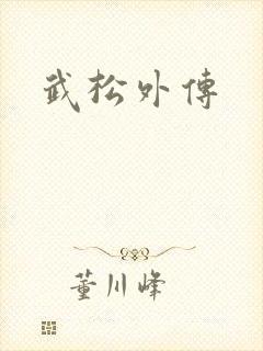 武松外传封面