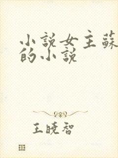 小说女主苏晚晴的小说