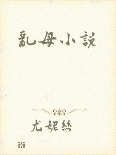 乱母小说封面