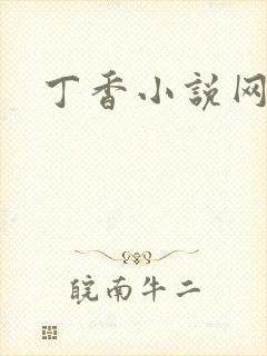 丁香小说网