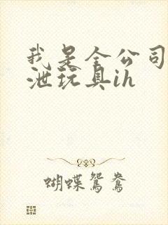 我是全公司的发泄玩具ih封面