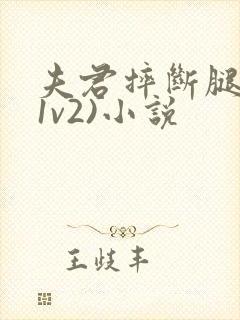 夫君摔断腿后(1v2)小说