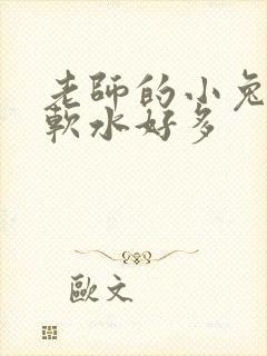 老师的小兔子好软水好多封面