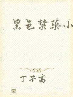 黑色禁药小说封面