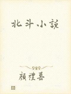 北斗小说