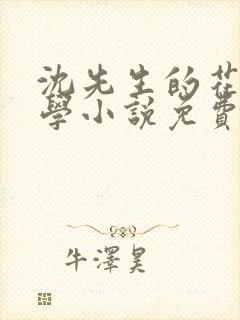 沈先生的花式教学小说免费