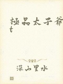 极品太子爷txt封面