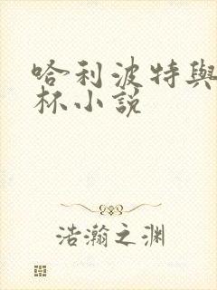 哈利波特与火焰杯小说