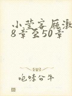 小莹客厅激情38章至50章封面