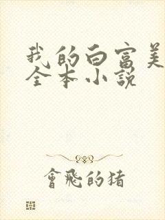 我的白富美老婆全本小说