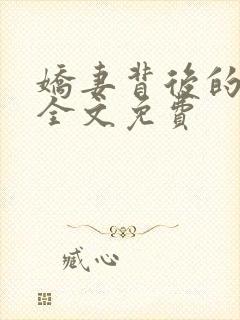 娇妻背后的秘密全文免费封面