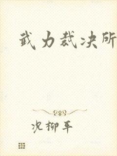 武力裁决所封面