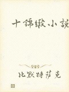 十锦缎小说
