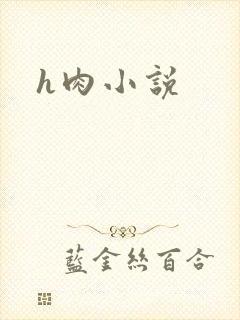 h肉小说