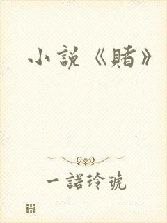 小说《赌》封面