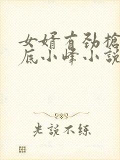 女婿有劲枪枪到底小峰小说封面