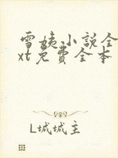 雪姨小说全文txt免费全本