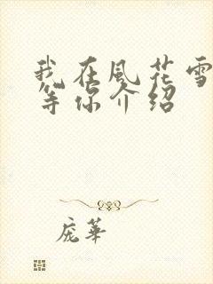 我在风花雪月里等你介绍封面