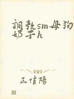 调教sm母狗骚奶子h