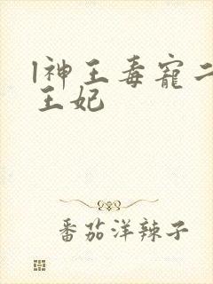 l神王毒宠二嫁王妃封面