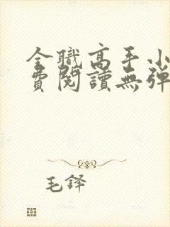 全职高手小说免费阅读无弹窗