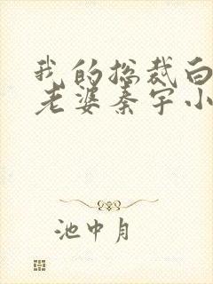 我的总裁白富美老婆秦宇小说未删版