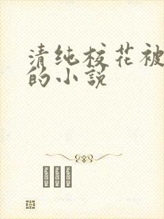 清纯校花被调教的小说封面