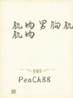 肌肉男胸肌腹肌肌肉