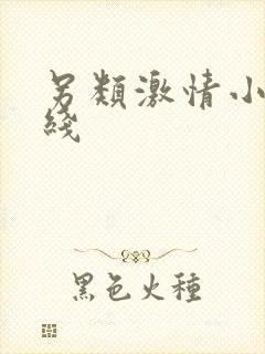 另类激情小说在线