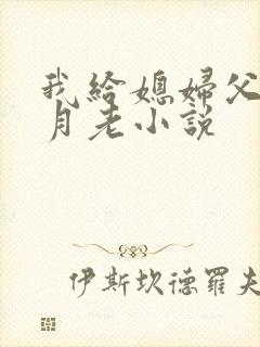 我给媳妇父亲当月老小说封面