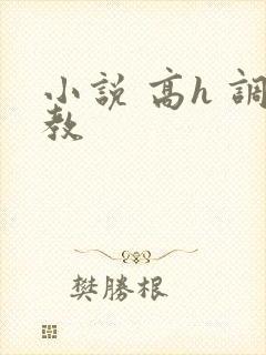 小说 高h 调教