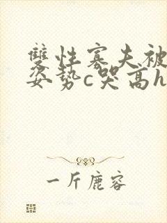 双性寡夫被各种姿势c哭高h