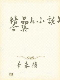 精品h小说短篇合集