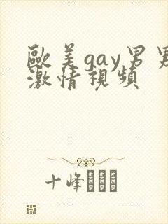 欧美gay男男激情视频