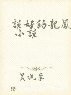 说好的龙凤胎呢 小说