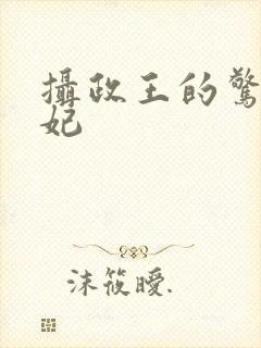 摄政王的惊世嫡妃