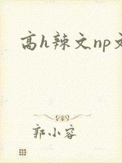 高h辣文np文